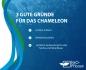 Mobile Preview: Eidechsenschwanz  - Houttuynia cordata Chameleon